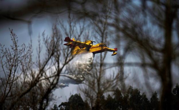 Los incendios arrasan más de 56.000 hectáreas en lo que va de año, el cuádruple que en 2018