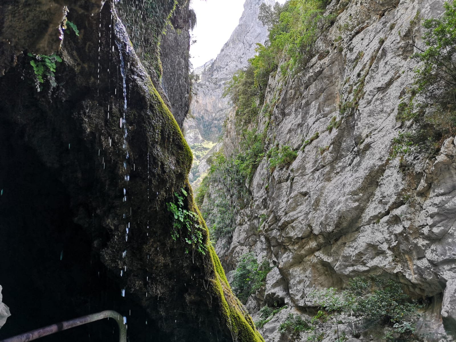 Naturaleza en estado puro en la Ruta del Cares