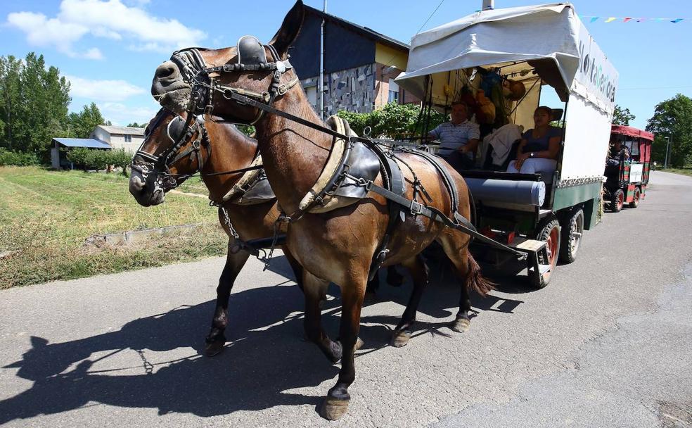 Tres carros y un destino