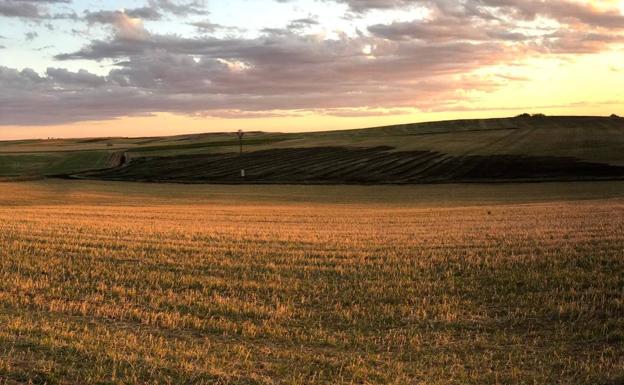 Tres fuegos calcinan 13 hectáreas en Vega de Infanzones, Llamas de la Rivera y Villarejo de Órbigo