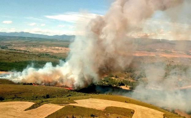 Controlado el incendio accidental de Porqueros tras quemar 35 hectáreas de matorral y agrícolas