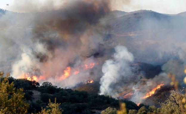 La Guardia Civil detiene a 9 personas por provocar 11 incendios en 6 provincias