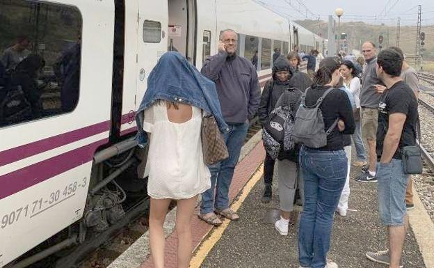 El humo de un tren de mercancías obliga a detener y ventilar un Alvia en León