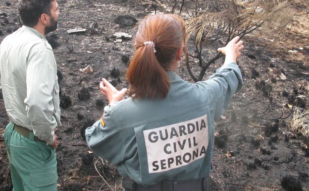 Investigadas dos personas por el incendio forestal ocurrido en los montes de Paradilla de Gordón