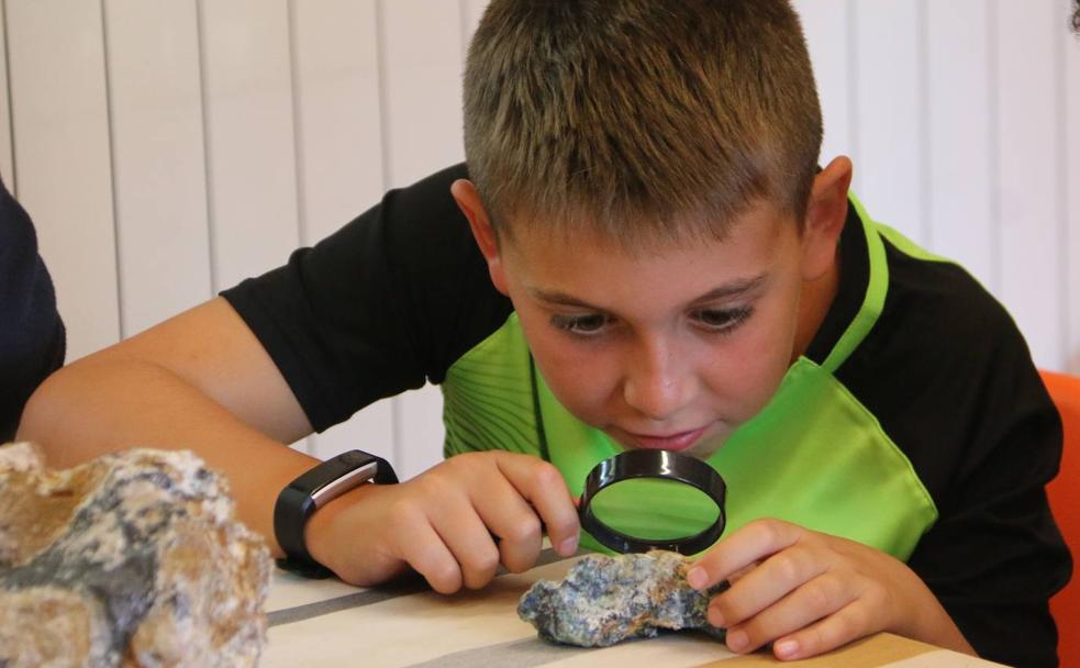 Un 'tesoro' único de minerales y fósiles