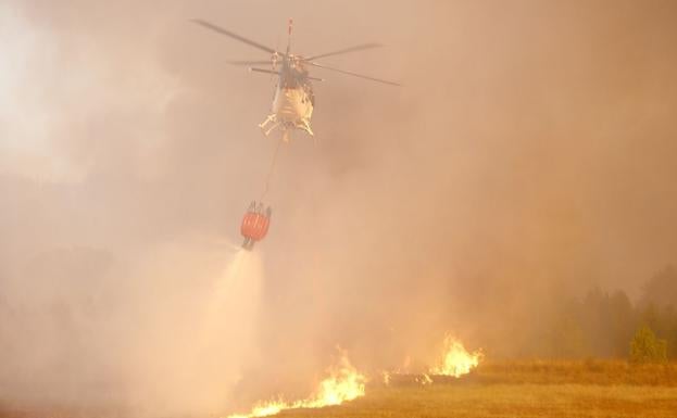 Un incendio intencionado y que ya ha convertido en ceniza 30 hectáreas