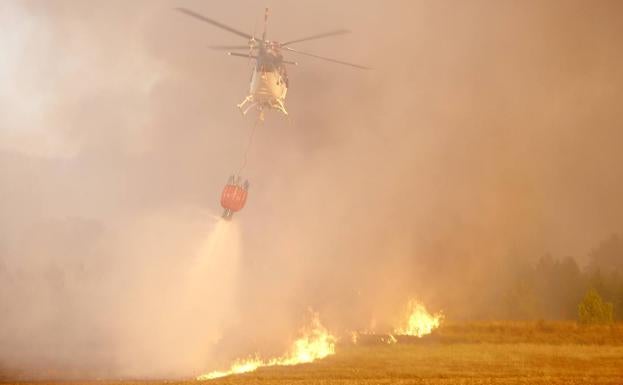 Los cortafuegos y el sacrificio de un área arbolada para salvar un pinar de 3.000 hectáreas