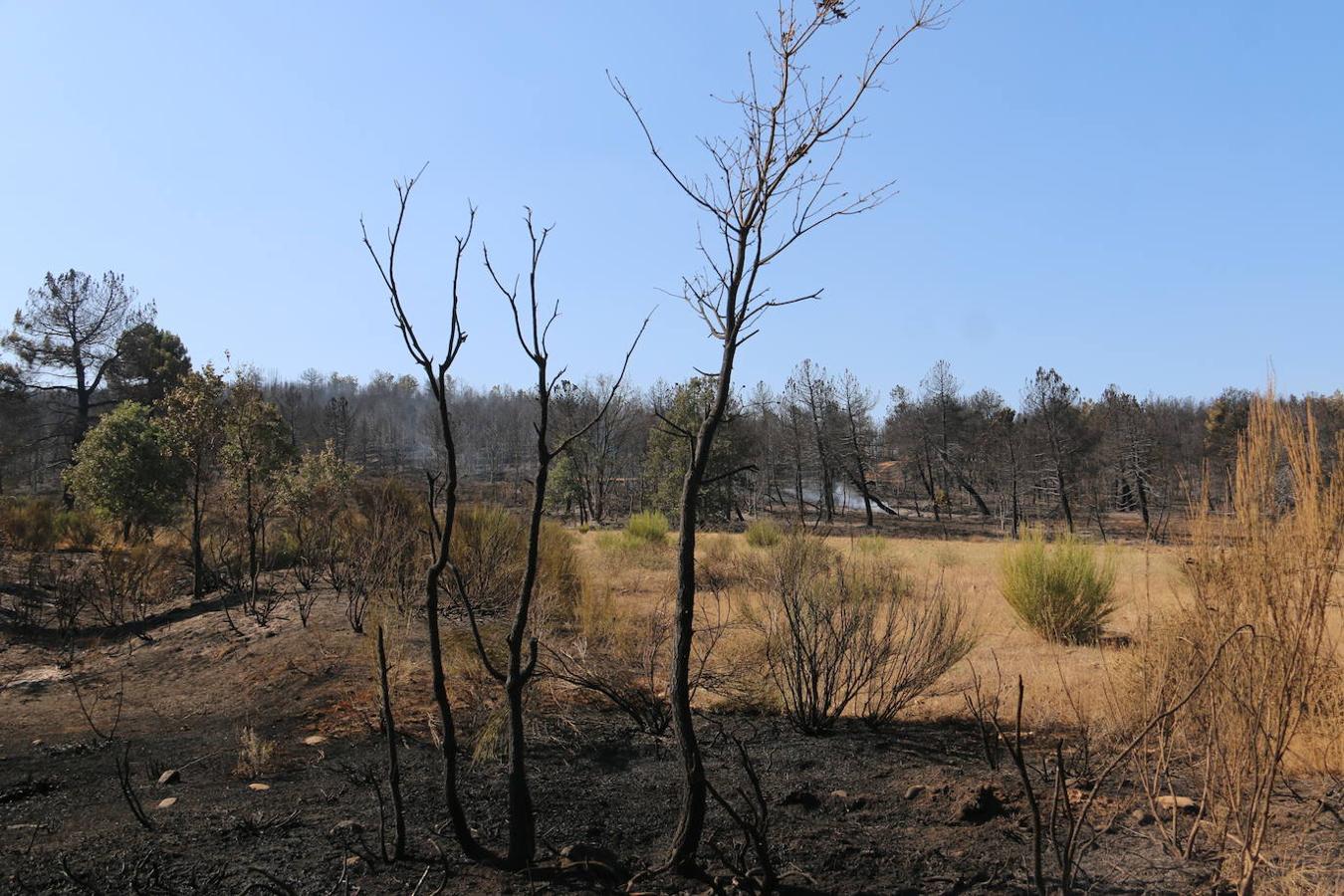 Los restos del incendio de Villapadierna