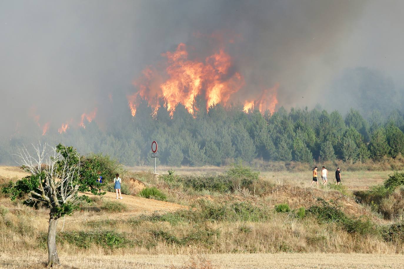 Extinguido el incendio de Cubillas de Rueda tras calcinar más de 78 hectáreas