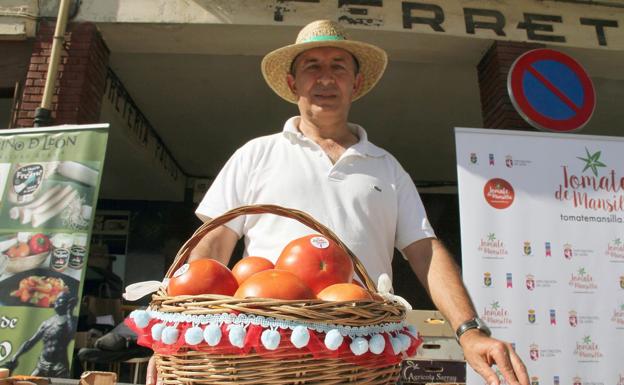 El tomate de Mansilla de las Mulas alcanzará este año los 60.000 kilos de producción en una campaña con retraso y mayor dulzor