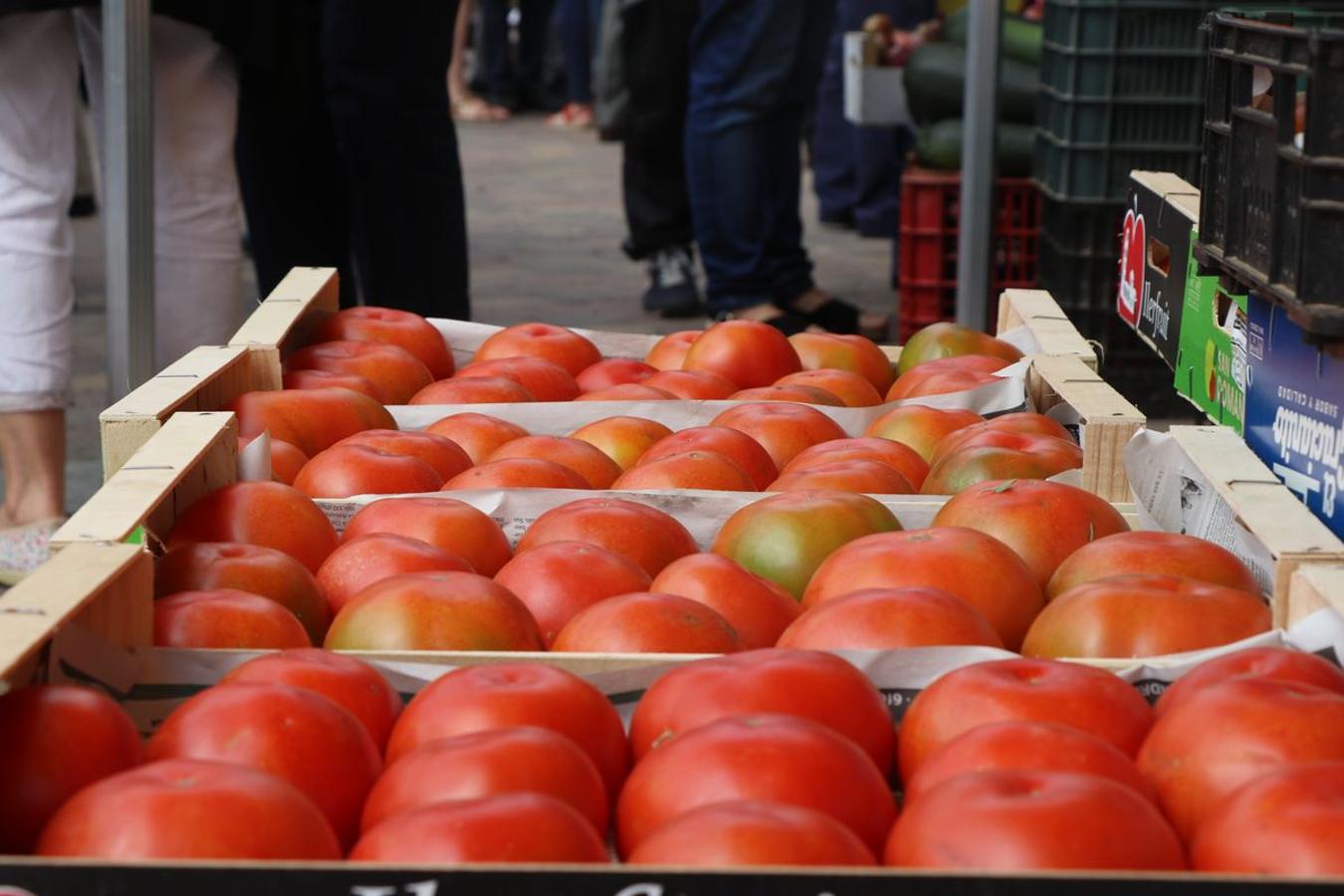 30 años celebrando con tomate