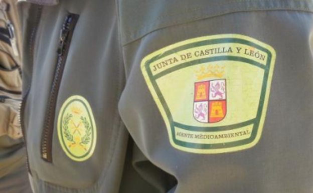La Junta estudiará ampliar el contrato de agentes forestales a 9 meses