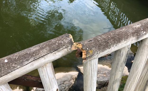 Vox San Andrés denuncia «la suciedad y el pésimo estado» del parque Antonio García Valladares