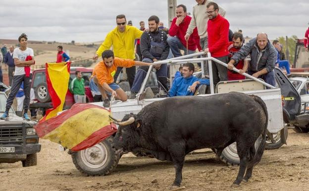 Campo de Villaornate se prepara para acoger su 'VI Encierro campero'