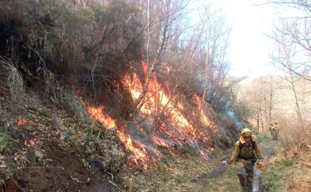 Un incendio calcina más de dos hectáreas en Villamartín de Don Sancho