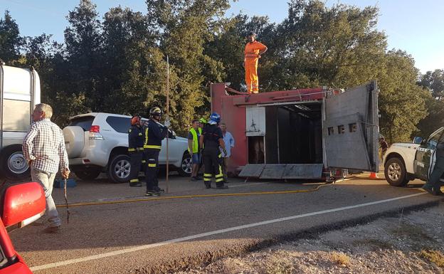 Un novillo del camión volcado en Palencia embiste a un bombero que trabajaba en el accidente