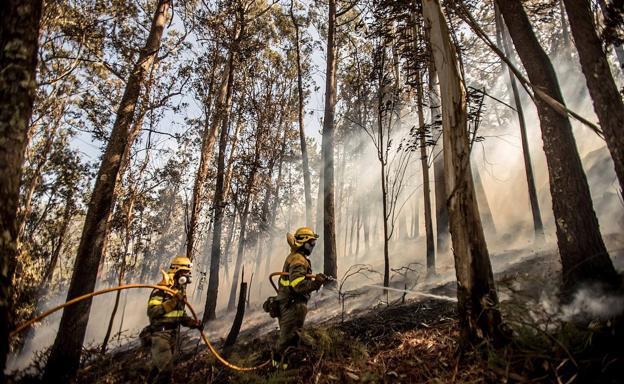 La UME de León se incorpora a las labores de extinción del virulento fuego de Porto do Son