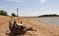 La Junta convoca ayudas para ganaderos por 2 millones de euros para combatir la sequía