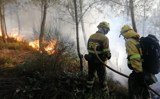 Las brigadas controlan y sofocan dos fuegos de madrugada en El Bierzo
