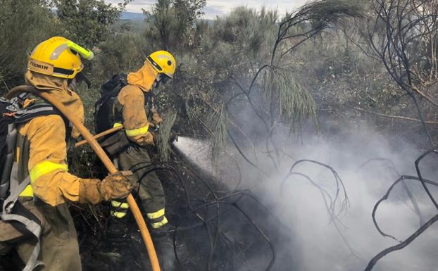 La provincia de León registra dos incendios activos en Soto y Amío y Torre del Bierzo