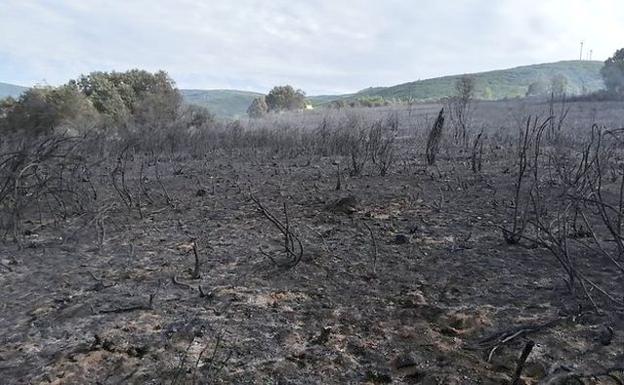 Logran controlar un incendio intencionado en Torre del Bierzo y se activa otro en Berlanga