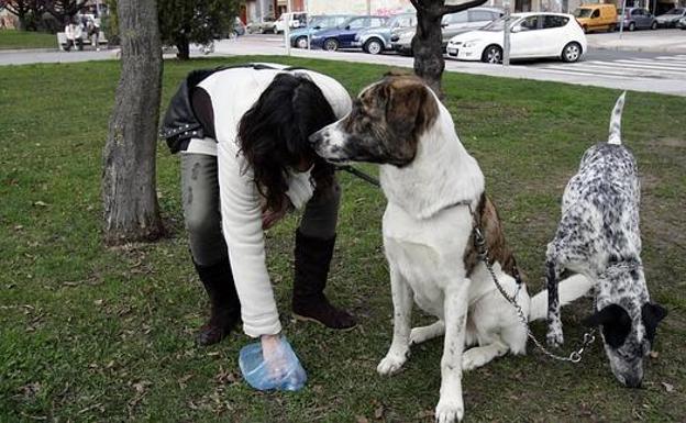 Ciudadanos Valverde de la Virgen solicita la limpieza del área de la calle de Zamora