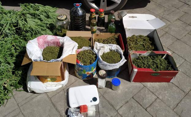 Dos detenidos en Cacabelos por la posesión de un punto de cultivo de marihuana con nueve plantas
