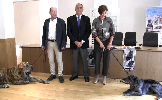 León cita a 500 perros de 120 razas diferentes