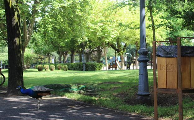 Franco lamenta que el PSOE haya ocultado el reconocimiento internacional al Parque de Quevedo