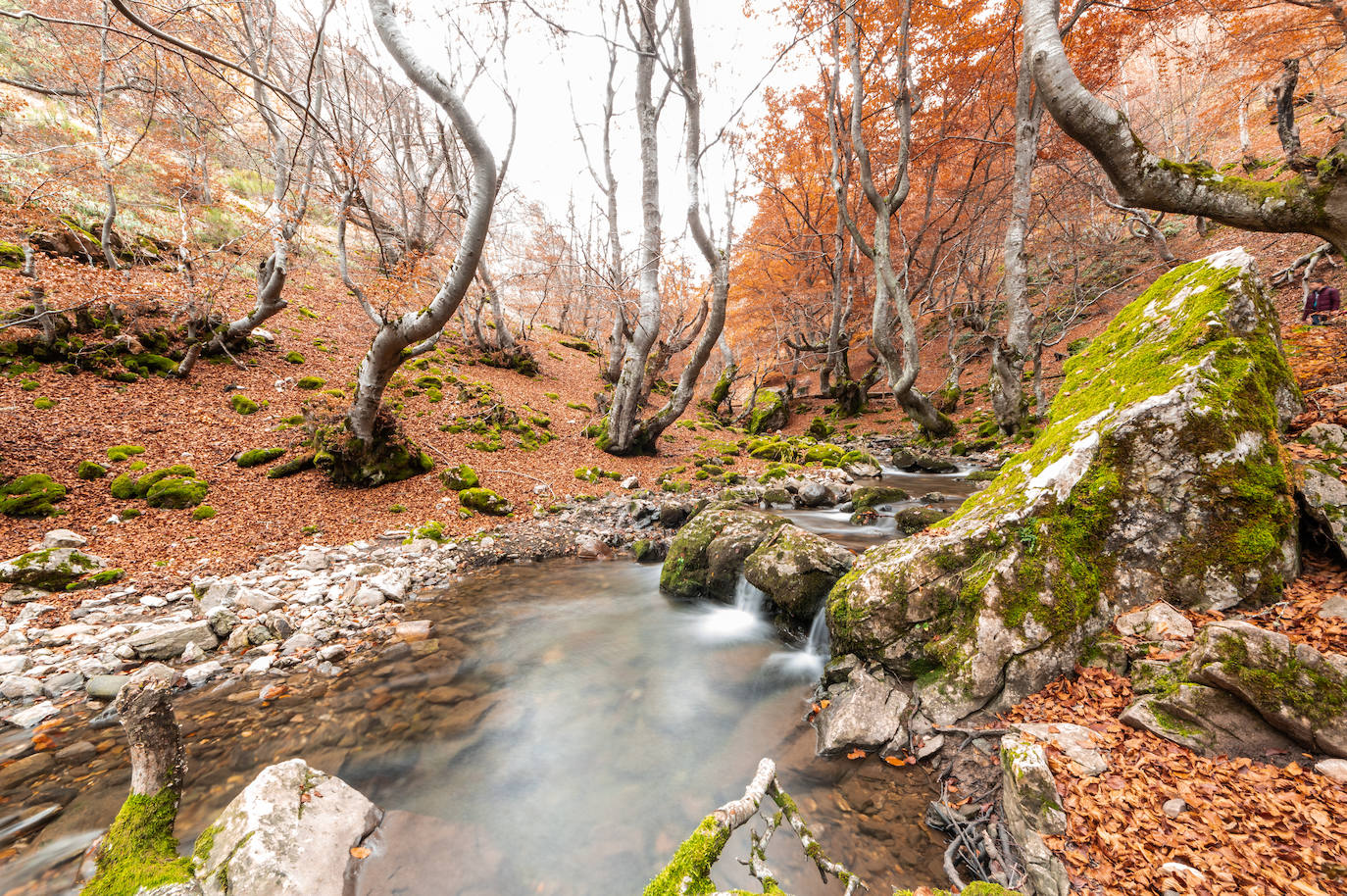 16 escapadas para recibir el otoño