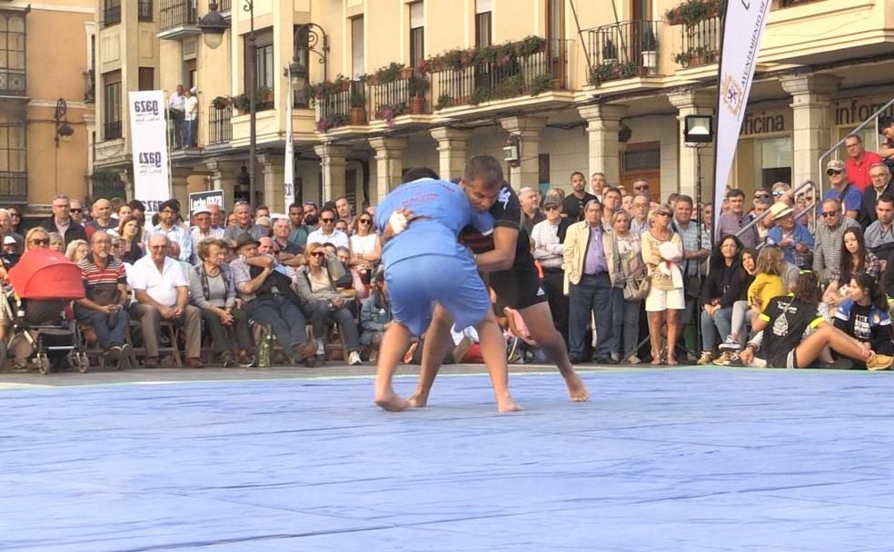 Aluches a los pies de la 'pulchra'