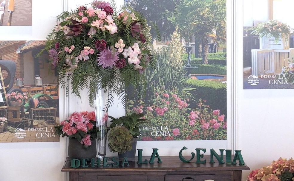 Erase una vez... una boda perfecta