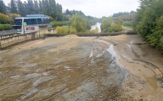 El mantenimiento del azud 'seca' el río Bernesga a la altura del puente de los Leones