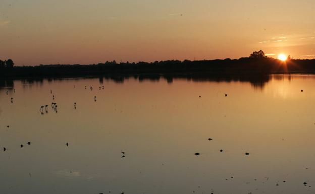 Medio siglo de Doñana, un coto que se convirtió en parque nacional