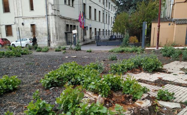 El PP municipal exige a Pastrana que finalice las mejoras en el Albergue de Asociaciones de León
