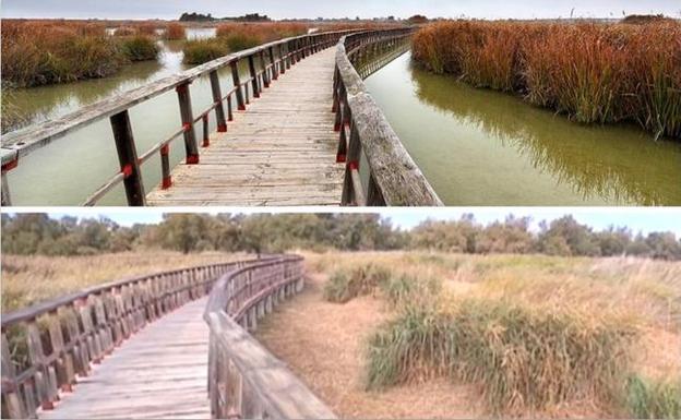 El Parque Nacional de Las Tablas de Daimiel se seca