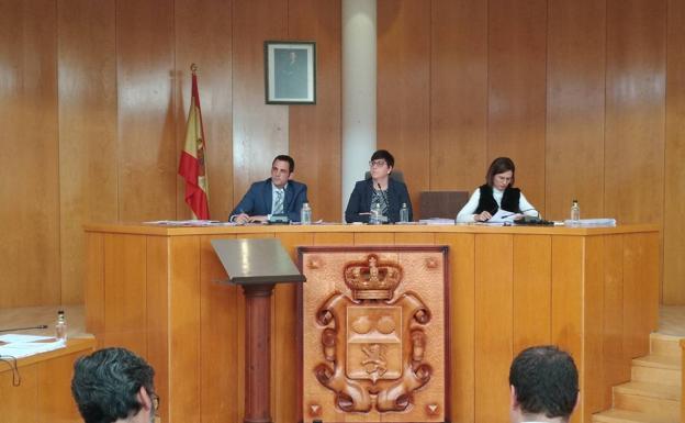 El Pleno de San Andrés muestra su rechazo mayoritario a la gestión sanitaria de los gobiernos autonómicos