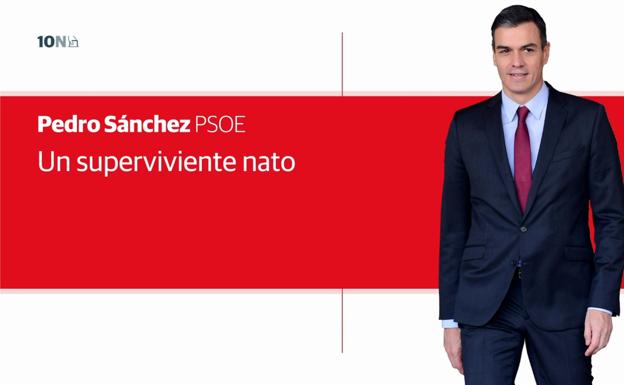 Pedro Sánchez, un superviviente nato