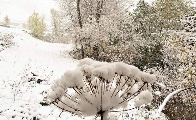 ¿Habrá que votar bajo la nieve?