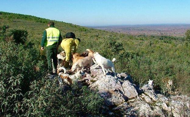 Un hombre muere en Toledo durante una cacería