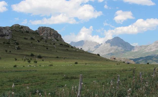 Tres años de cárcel y más de 100.000 euros de multa por convertir en vivienda una cabaña ganadera en la Reserva de Babia