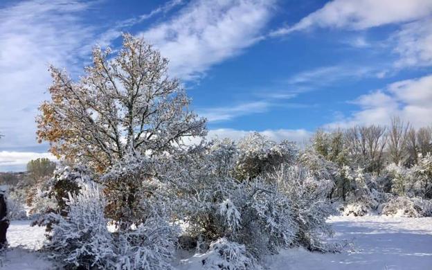 Las bellas imágenes del temporal de nieve en León