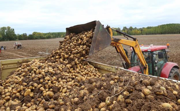 UCCL pide al Parlamento Europeo que respete los «principios y objetivos» de la PAC