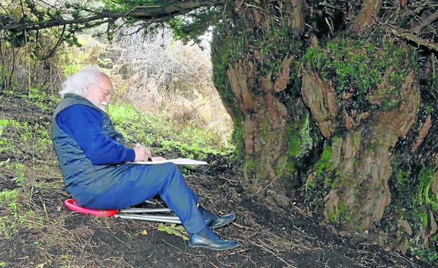 Misterio y seducción de la reina del bosque