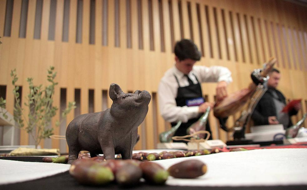 Artistas de pata negra