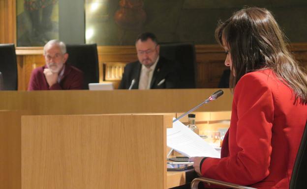 La Diputación instará a la Junta a que retire su plan sanitario tras un duro debate entre los grupos