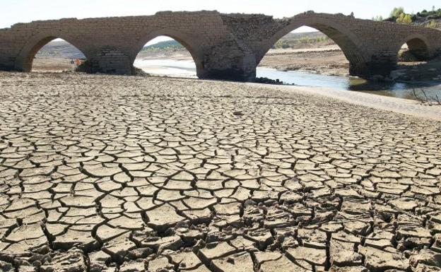 La Eurocámara declara la emergencia climática y medioambiental