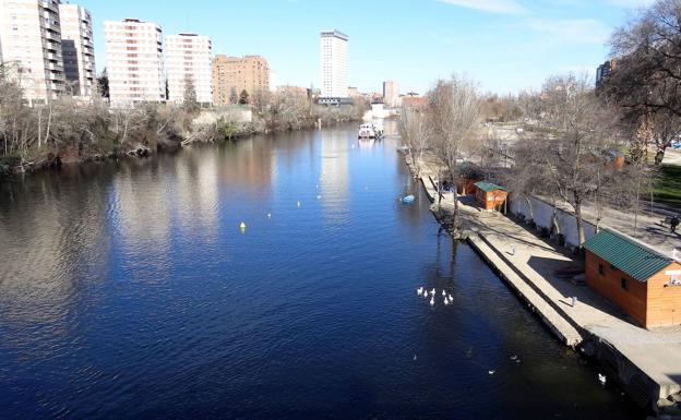 Rescatan el cuerpo sin vida de un varón de 55 años en el río Pisuerga a su paso por Valladolid