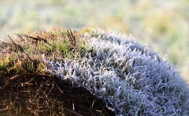 Cubillas de Rueda registra la segunda temperatura más baja de España con 3,6 grados bajo cero