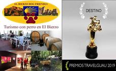 Promueven la candidatura de El Bierzo como mejor destino turístico con perro de España
